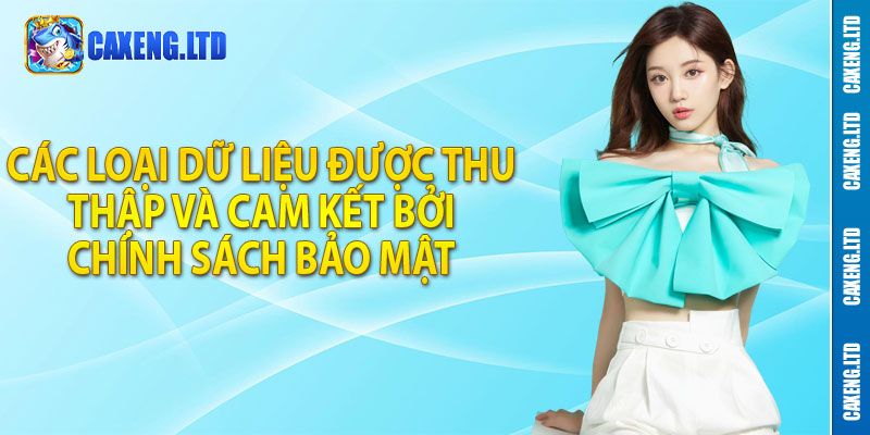 Các loại dữ liệu được thu thập và cam kết bởi chính sách bảo mật Caxeng